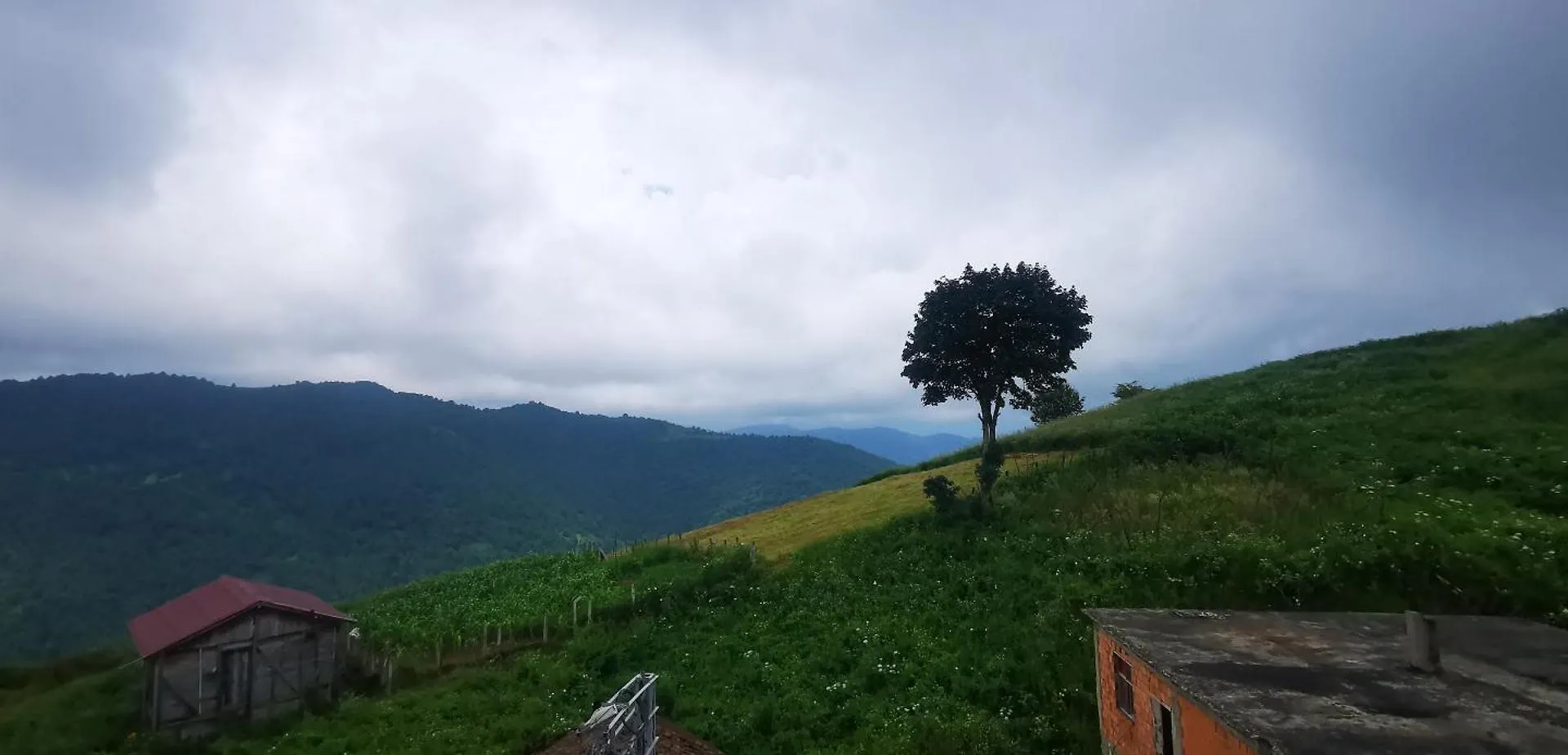 Avulot Mountain Resort Hotel Trabzon Appartement